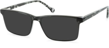 SFE-11123 sunglasses in Grey