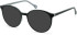 SFE-11132 sunglasses in Grey