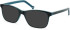 SFE-11134 sunglasses in Petrol