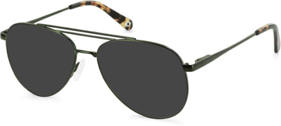 SFE-11136 sunglasses in Khaki