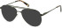 SFE-11136 sunglasses in Khaki
