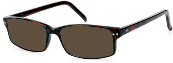 SFE-11047 sunglasses in Tortoiseshell