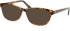 SFE-11048 sunglasses in Tortoiseshell