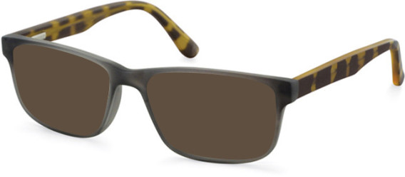 SFE-11074 sunglasses in Grey Tortoiseshell