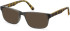 SFE-11074 sunglasses in Grey Tortoiseshell