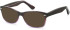 SFE-11079 sunglasses in Purple Gradient