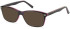 SFE-11080 sunglasses in Purple Mottle