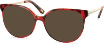 SFE-11097 sunglasses in Red Tortoiseshell