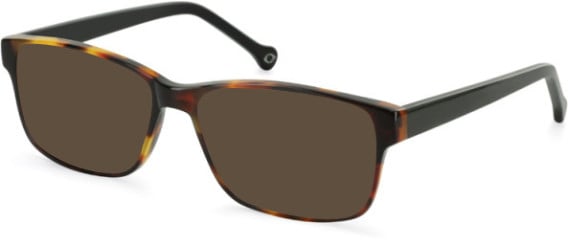 SFE-11103 sunglasses in Olive