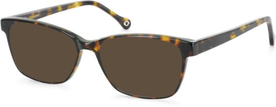 SFE-11106 sunglasses in Tortoiseshell