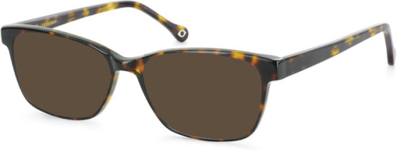 SFE-11106 sunglasses in Tortoiseshell