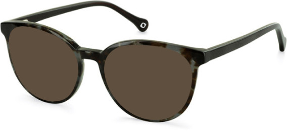 SFE-11110 sunglasses in Grey