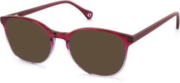 SFE-11131 sunglasses in Raspberry