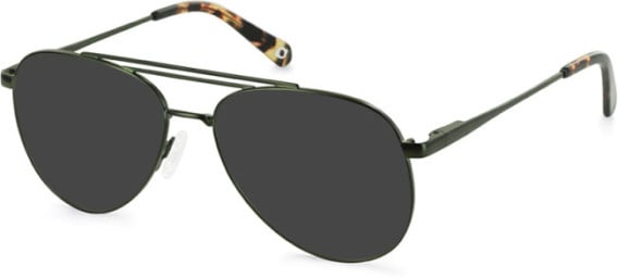 SFE-11136 sunglasses in Khaki