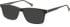 SFE-11141 sunglasses in Grey