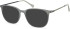 SFE-11143 sunglasses in Grey