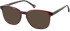 SFE-11145 sunglasses in Raspberry