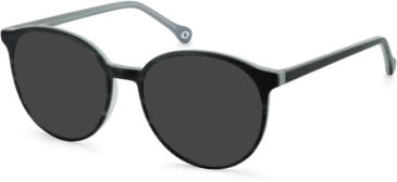 SFE-11132 sunglasses in Grey