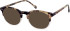 SFE-11135 sunglasses in Tortoiseshell