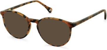 SFE-11109 sunglasses in Tortoiseshell