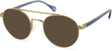 SFE-11107 sunglasses in Gold/Purple