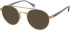 SFE-11107 sunglasses in Gold/Purple