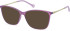 SFE-11144 sunglasses in Matt Purple