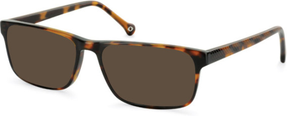 SFE-11138 sunglasses in Tortoiseshell