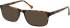SFE-11138 sunglasses in Tortoiseshell