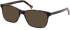 SFE-11134 sunglasses in Tortoiseshell/Purple