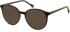 SFE-11132 sunglasses in Brown