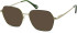 SFE-11128 sunglasses in Khaki/Gold