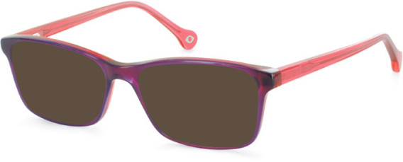 SFE-11122 sunglasses in Purple/Coral