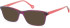 SFE-11122 sunglasses in Purple/Coral