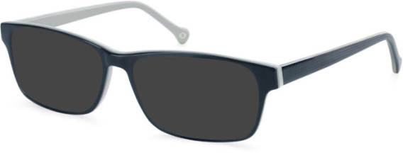 SFE-11121 sunglasses in Navy/Grey