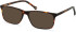 SFE-11119 sunglasses in Matt Tortoiseshell