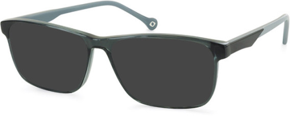 SFE-11118 sunglasses in Grey