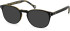 SFE-11104 sunglasses in Black/Tortoiseshell