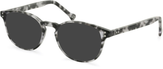 SFE-11104 sunglasses in Grey