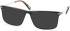 SFE-11096 sunglasses in Navy/Tortoiseshell