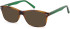 SFE-11080 sunglasses in Tortoiseshell Green