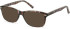 SFE-11080 sunglasses in Purple