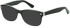 SFE-11079 sunglasses in Black/Crystal