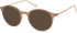SFE-11142 sunglasses in Matt Nude