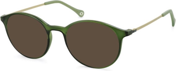 SFE-11142 sunglasses in Matt Green