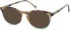 SFE-11135 sunglasses in Tortoiseshell/Teal