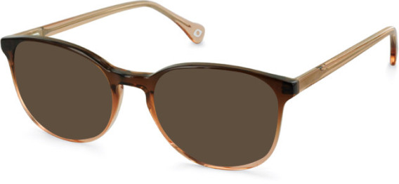 SFE-11131 sunglasses in Brown