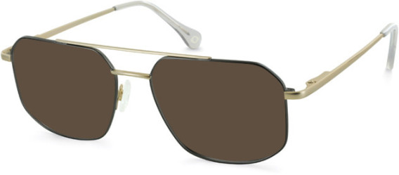 SFE-11129 sunglasses in Grey/Gold