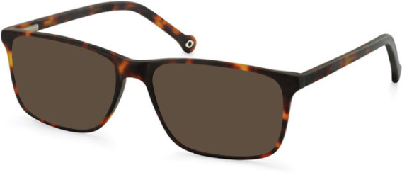 SFE-11119 sunglasses in Matt Tortoiseshell