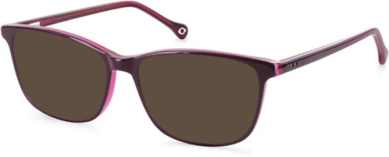 SFE-11116 sunglasses in Purple